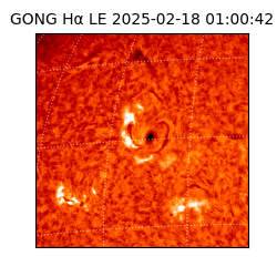 gong - 2025-02-18T01:00:42