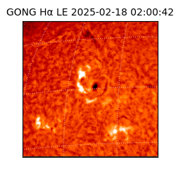 gong - 2025-02-18T02:00:42