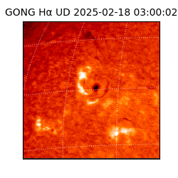 gong - 2025-02-18T03:00:02