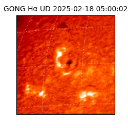 gong - 2025-02-18T05:00:02