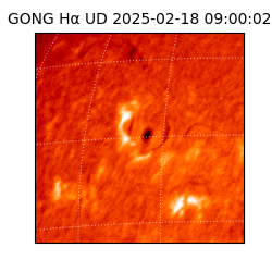 gong - 2025-02-18T09:00:02