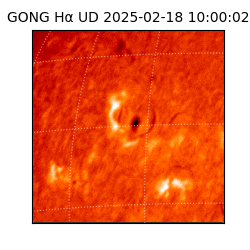 gong - 2025-02-18T10:00:02