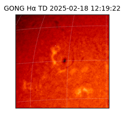 gong - 2025-02-18T12:19:22
