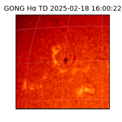 gong - 2025-02-18T16:00:22