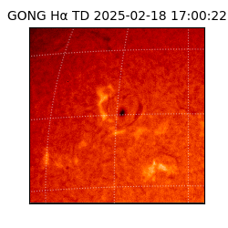 gong - 2025-02-18T17:00:22