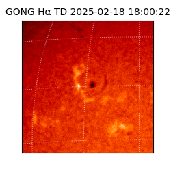 gong - 2025-02-18T18:00:22