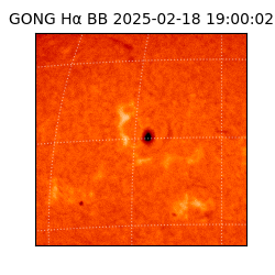 gong - 2025-02-18T19:00:02