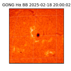gong - 2025-02-18T20:00:02