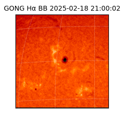 gong - 2025-02-18T21:00:02