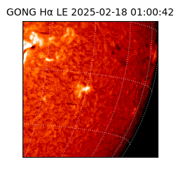 gong - 2025-02-18T01:00:42