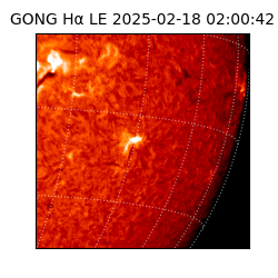 gong - 2025-02-18T02:00:42
