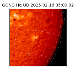 gong - 2025-02-18T05:00:02