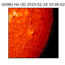gong - 2025-02-18T10:00:02