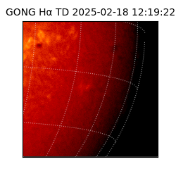 gong - 2025-02-18T12:19:22