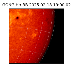 gong - 2025-02-18T19:00:02