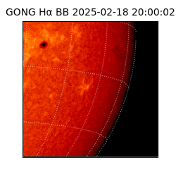 gong - 2025-02-18T20:00:02
