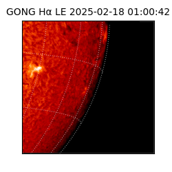 gong - 2025-02-18T01:00:42