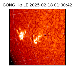 gong - 2025-02-18T01:00:42