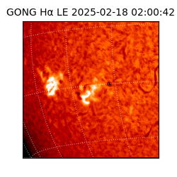 gong - 2025-02-18T02:00:42