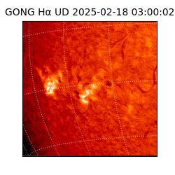 gong - 2025-02-18T03:00:02