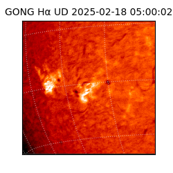 gong - 2025-02-18T05:00:02