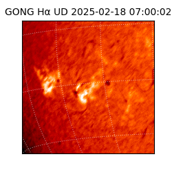 gong - 2025-02-18T07:00:02