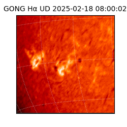 gong - 2025-02-18T08:00:02