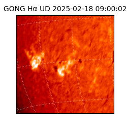 gong - 2025-02-18T09:00:02