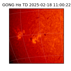 gong - 2025-02-18T11:00:22