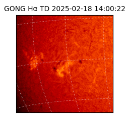 gong - 2025-02-18T14:00:22