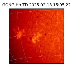 gong - 2025-02-18T15:05:22