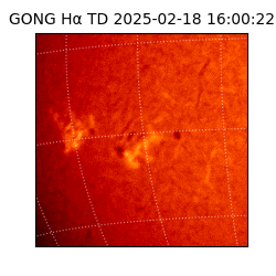 gong - 2025-02-18T16:00:22