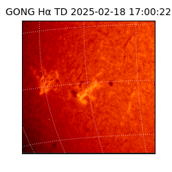 gong - 2025-02-18T17:00:22