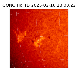 gong - 2025-02-18T18:00:22