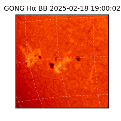 gong - 2025-02-18T19:00:02