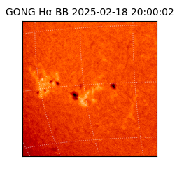 gong - 2025-02-18T20:00:02