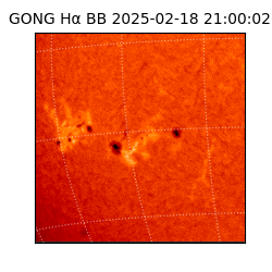 gong - 2025-02-18T21:00:02