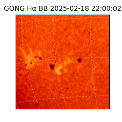 gong - 2025-02-18T22:00:02