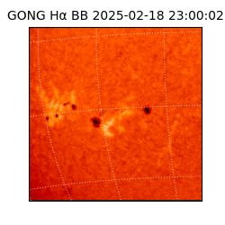 gong - 2025-02-18T23:00:02