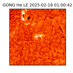 gong - 2025-02-18T01:00:42