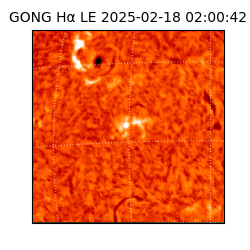 gong - 2025-02-18T02:00:42