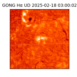 gong - 2025-02-18T03:00:02