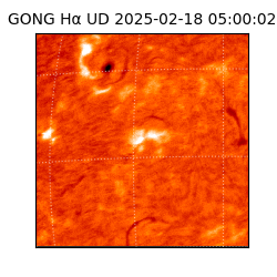 gong - 2025-02-18T05:00:02