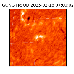 gong - 2025-02-18T07:00:02