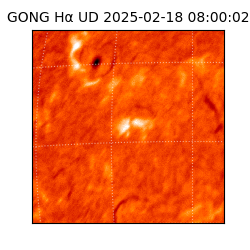 gong - 2025-02-18T08:00:02