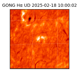 gong - 2025-02-18T10:00:02