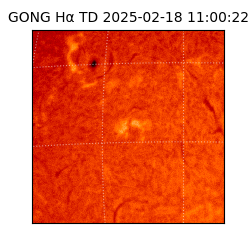 gong - 2025-02-18T11:00:22