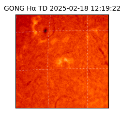 gong - 2025-02-18T12:19:22