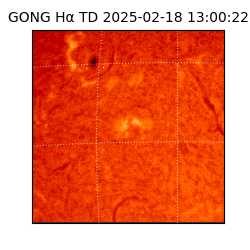 gong - 2025-02-18T13:00:22