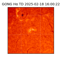 gong - 2025-02-18T16:00:22